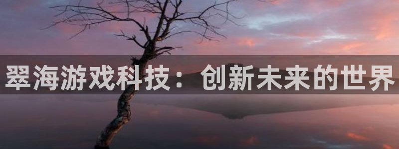 鼎点娱乐4开户：翠海游戏科技：创新未来的世界