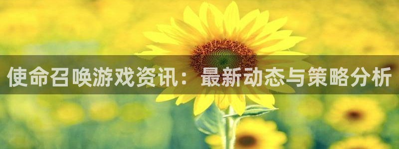 鼎点娱乐登陆测速：使命召唤游戏资讯：最新动态与策略分析