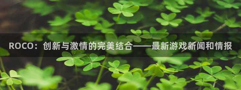 鼎点娱乐平台官方网站：ROCO：创新与激情的完美结合——最新
