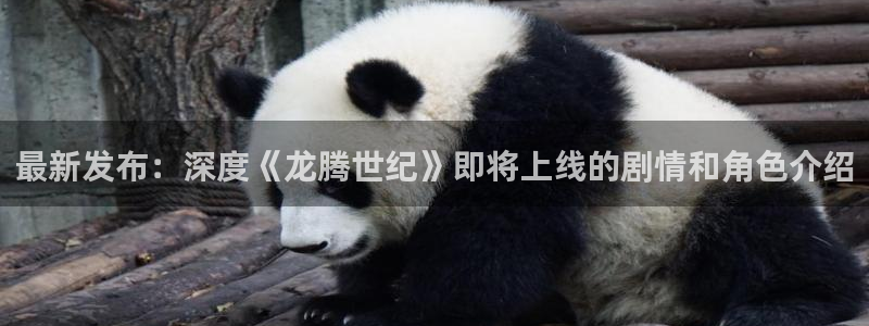 鼎点娱乐手机网页版登录：最新发布：深度《龙腾世纪》即将上线的