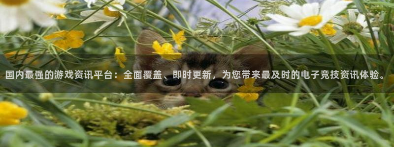 鼎点娱乐官方登录网址