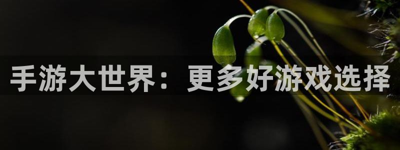 鼎点娱乐注册测速