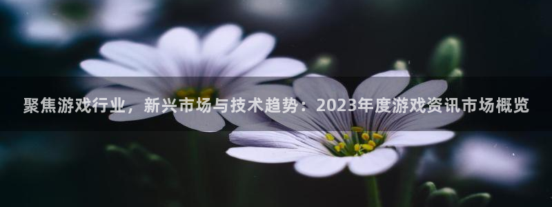 鼎点娱乐是真的吗