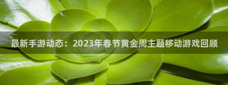 鼎点娱乐招商主管