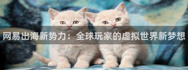 鼎点娱乐还能玩吗