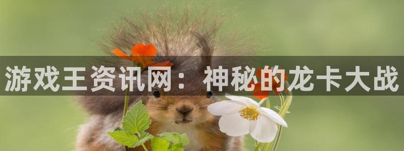 鼎点娱乐官方网站入口网址