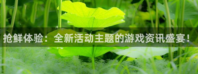 鼎点娱乐app下载安装最新版本官网