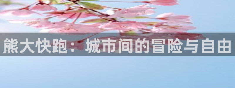 鼎点娱乐程32oo59求：熊大快跑：城市间的冒险与自由