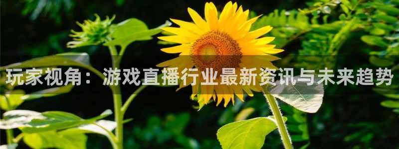 鼎点招商21h判官333oo：玩家视角：游戏直播行业最新资讯