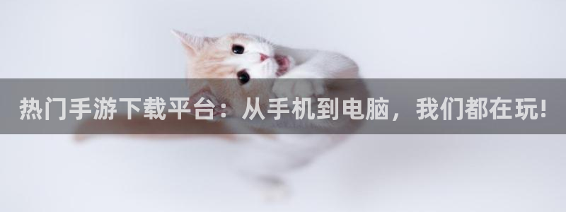 鼎点娱乐app下载注册教程：热门手游下载平台：从手机到电脑，