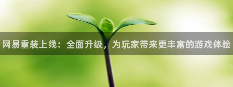 鼎点娱乐娱乐是真的吗：网易重装上线：全面升级，为玩家带来更丰