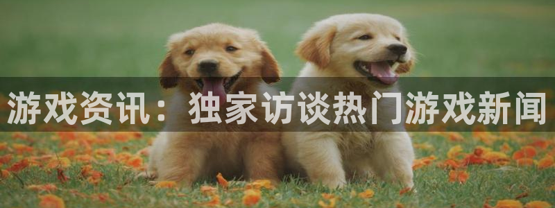 鼎点娱乐测速：游戏资讯：独家访谈热门游戏新闻
