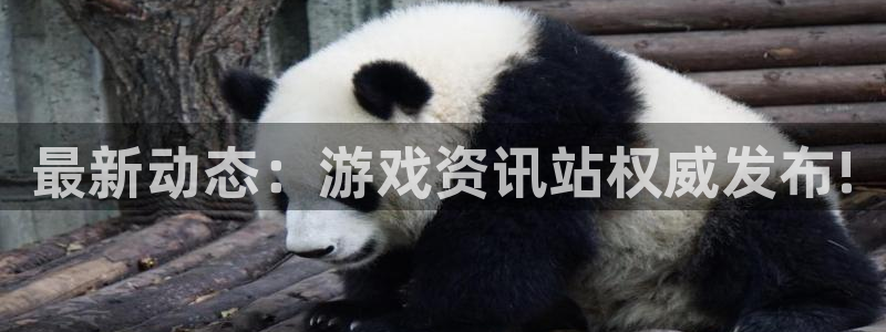 鼎点娱乐app下载|下载地址：最新动态：游戏资讯站权威发布!