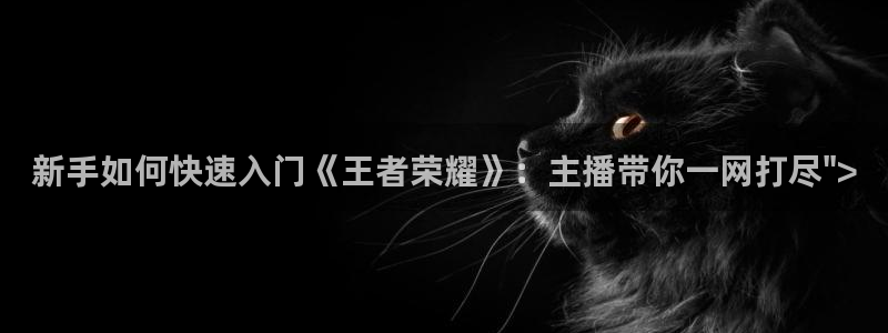 鼎点娱乐测速