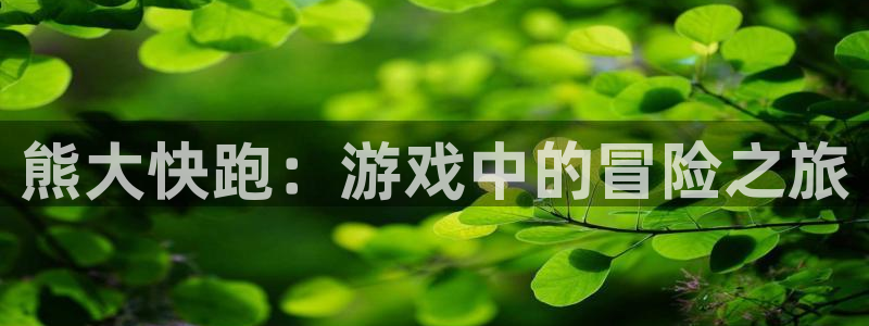 鼎点娱乐代理登陆：熊大快跑：游戏中的冒险之旅
