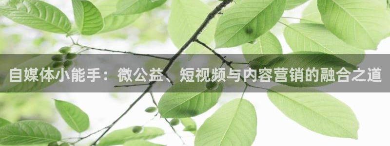 鼎点娱乐注册账号：自媒体小能手：微公益、短视频与内容营销的融