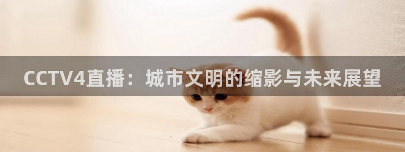 袋鼠直播在线观看：CCTV4直播：城市文明的缩影与未来展望