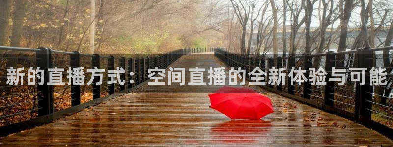 袋鼠直播看nba比赛：新的直播方式：空间直播的全新体验与可能