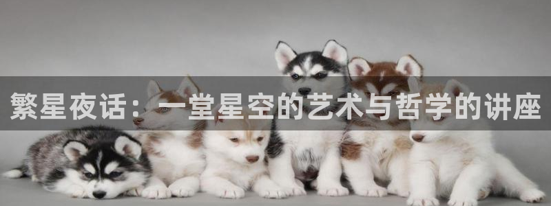 袋鼠在线体育直播：繁星夜话：一堂星空的艺术与哲学的讲座
