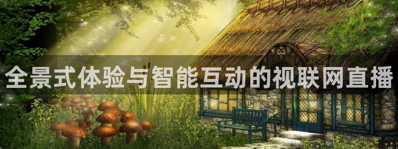 袋鼠体育直播在线观看