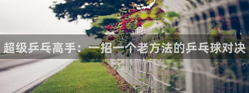 nba袋鼠直播在线观看