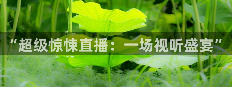 袋鼠直播体育直播：“超级惊悚直播：一场视听盛宴”