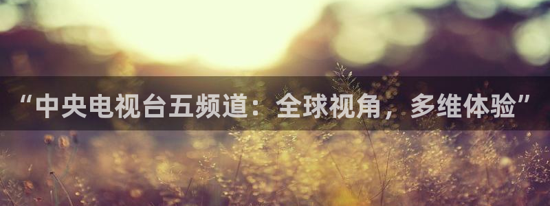 袋鼠直播在线观看nba：“中央电视台五频道：全球视角，多维体验”
