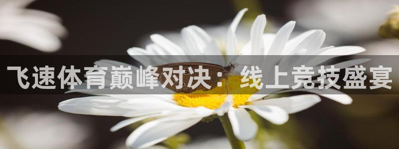 袋鼠直播nba体育：飞速体育巅峰对决：线上竞技盛宴