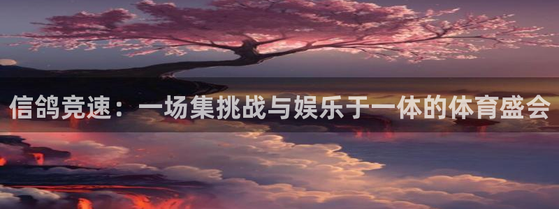 袋鼠体育免费观看：信鸽竞速：一场集挑战与娱乐于一体的体育盛会