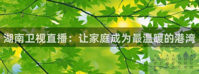 袋鼠体育在线直播：湖南卫视直播：让家庭成为最温暖的港湾